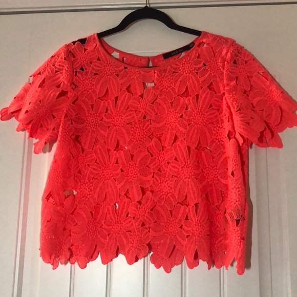 Ark & Co Tops - Ark & Co. Cropped T